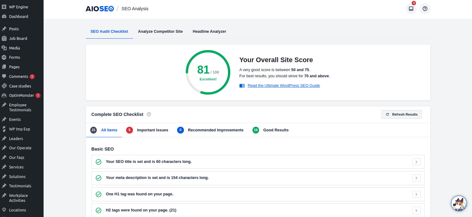 AIOSEO plugin dashboard showing an overall site SEO score of 81 with checklist results and no recommended improvements.